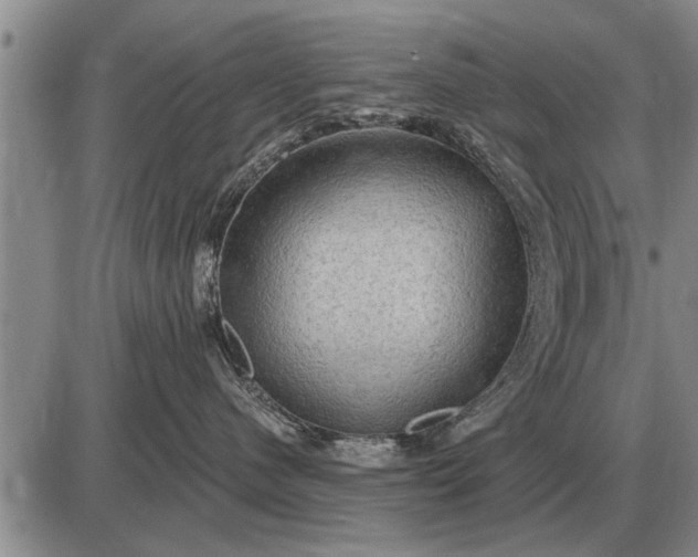 X0000085060480200703191330