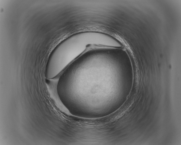 X0000085060481200703191329