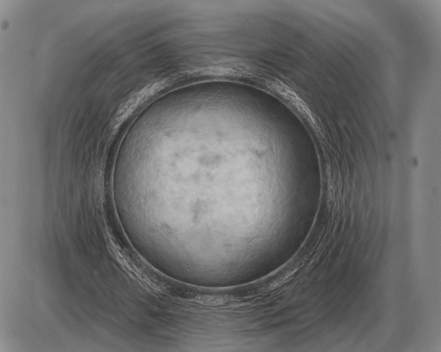 X0000085060482200703191329