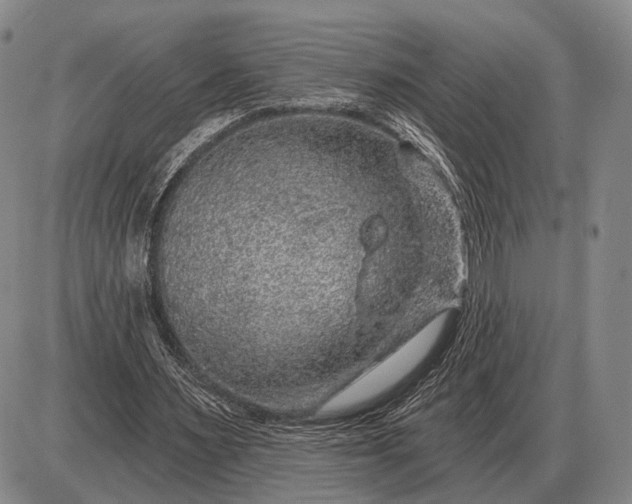 X0000085060483200703191329