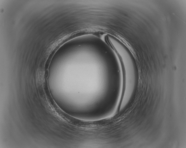 X0000085060485200703191329