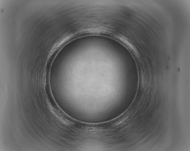 X0000085060486200703191329