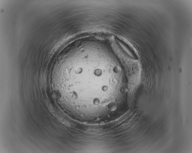 X0000085060487200703191329