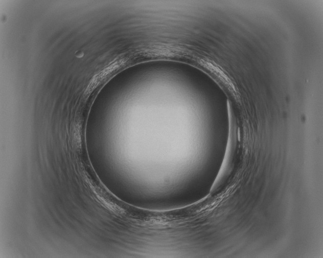 X0000085060489200703191329