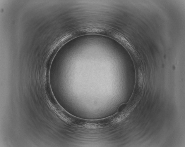 X0000085060490200703191329