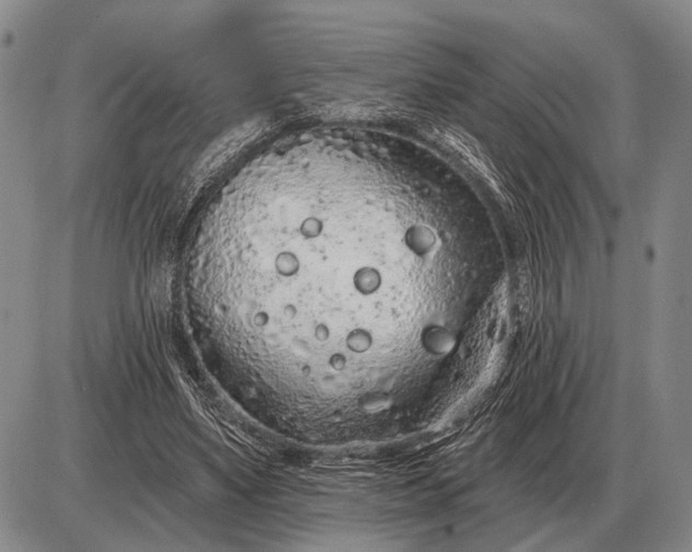 X0000085060491200703191329