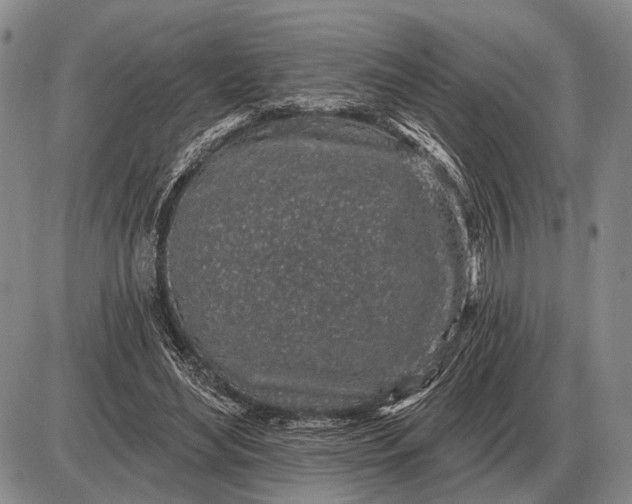 X0000085060492200703191329