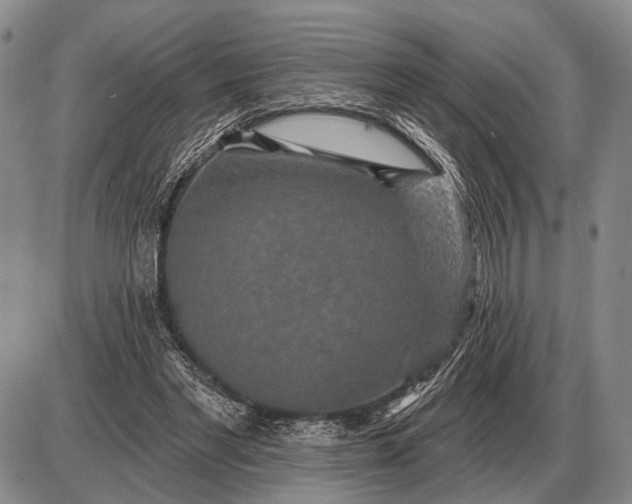 X0000085060493200703191329