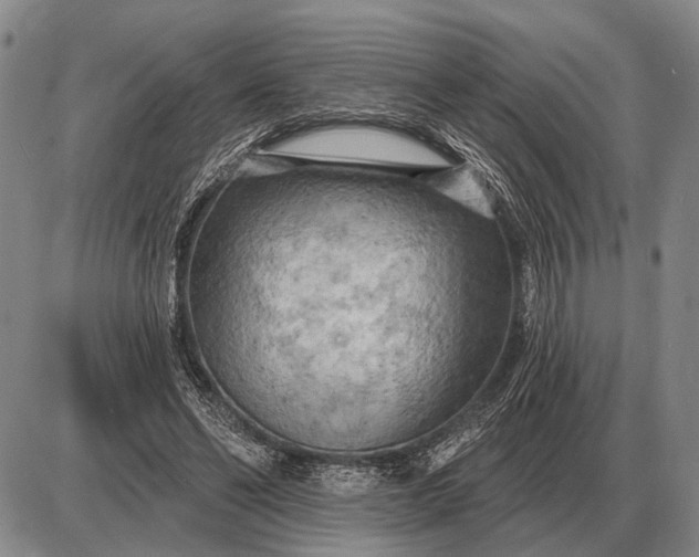 X0000085060494200703191328