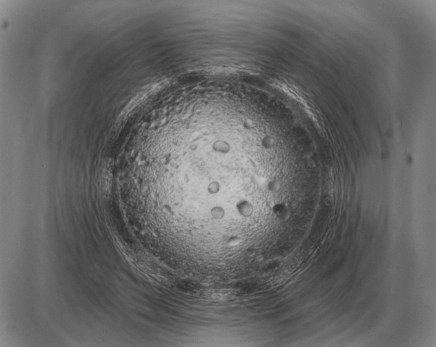 X0000085060495200703191328