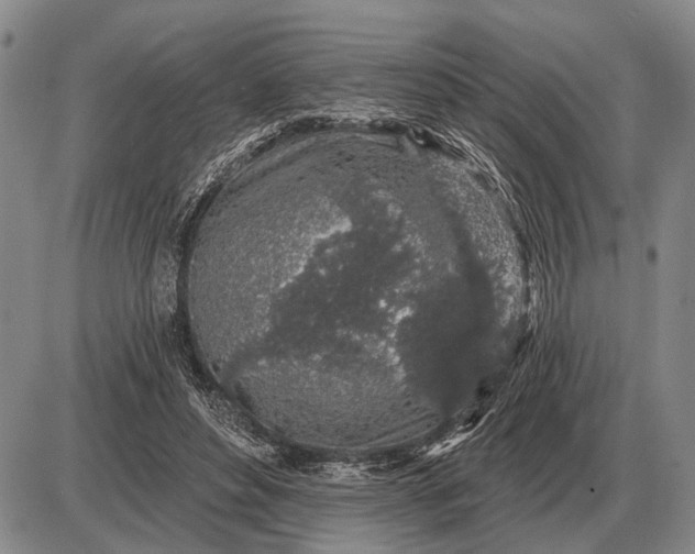 X0000085060496200703191328