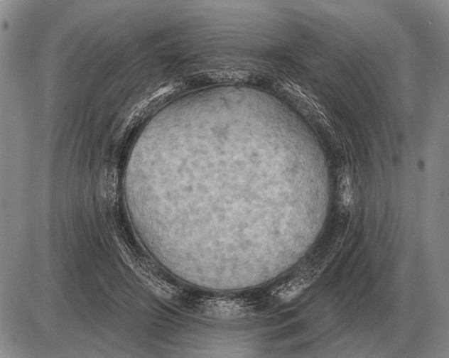 X0000085060498200703191328