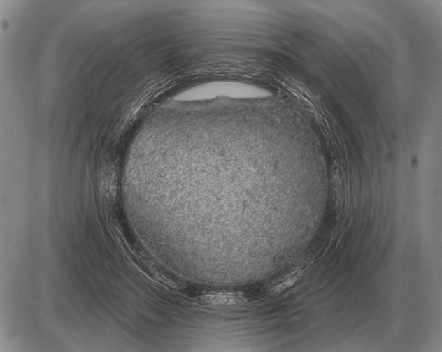 X0000085060499200703191328