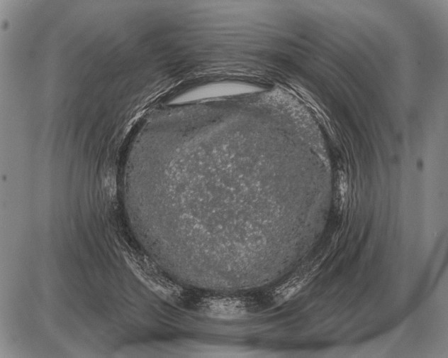 X0000085060500200703191328