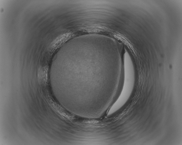 X0000085060501200703191328