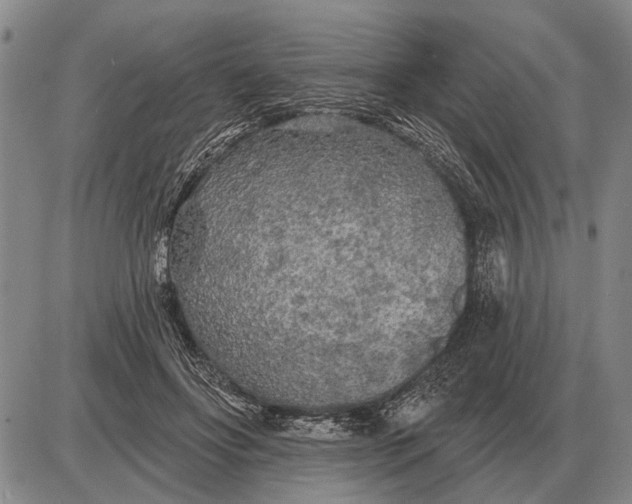 X0000085060502200703191328