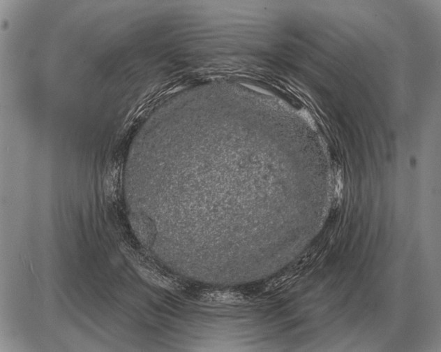 X0000085060503200703191328