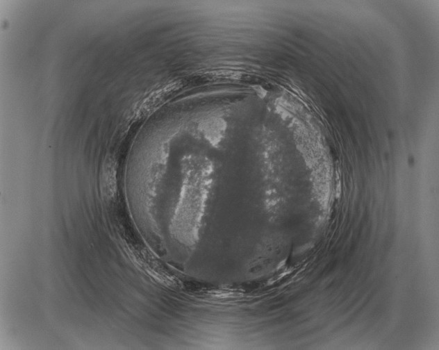 X0000085060504200703191328