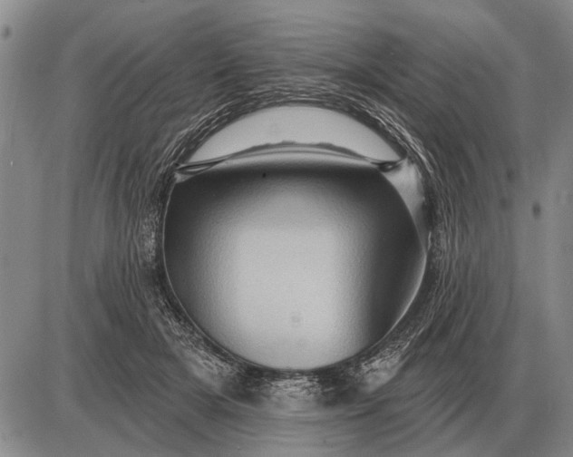 X0000085060505200703191328