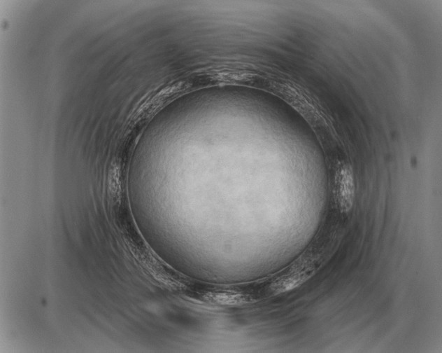 X0000085060506200703191328