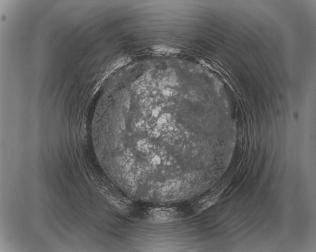 X0000085060508200703191328