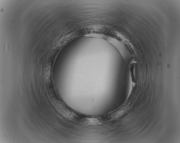 X0000085060509200703191328