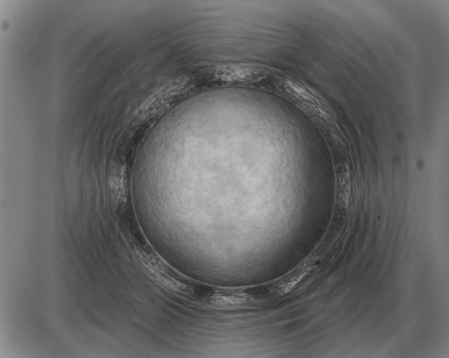 X0000085060510200703191328