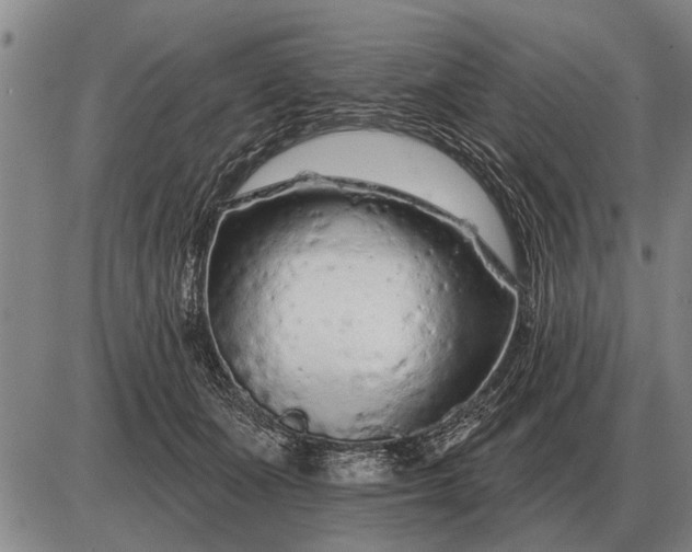 X0000085060511200703191328