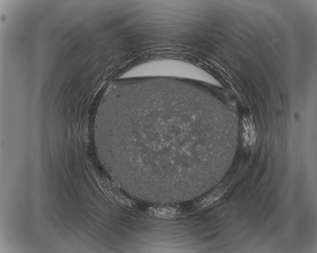 X0000085060512200703191328