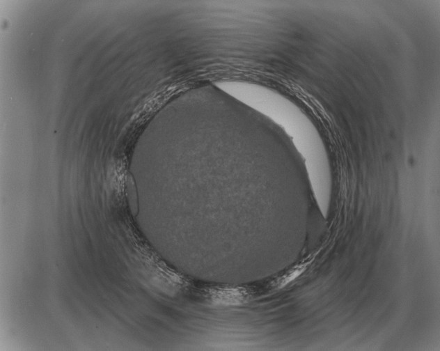 X0000085060513200703191328