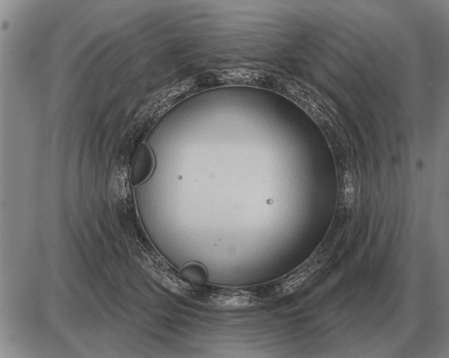 X0000085060514200703191328