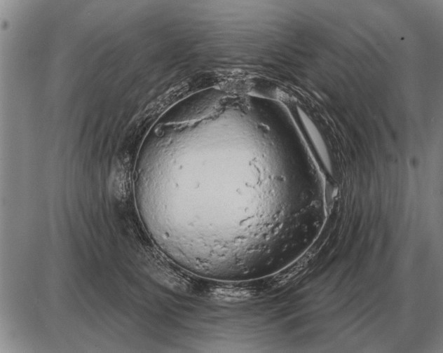 X0000085060515200703191328