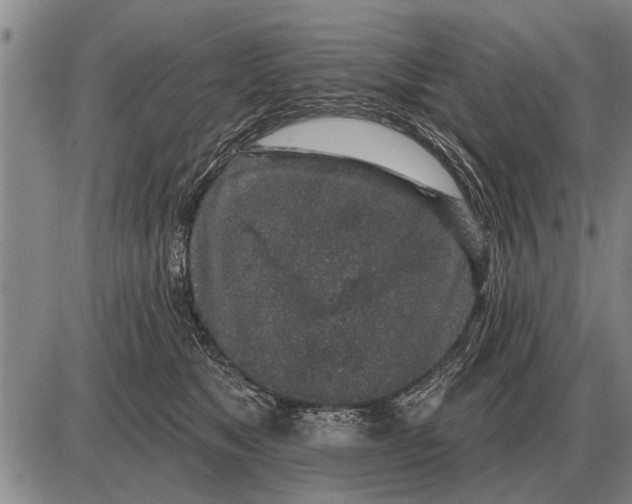 X0000085060517200703191328