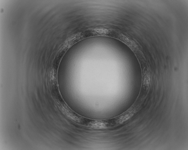 X0000085060518200703191328