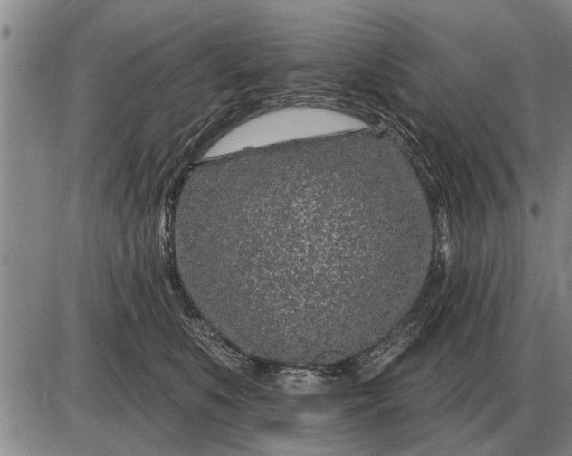 X0000085060519200703191328