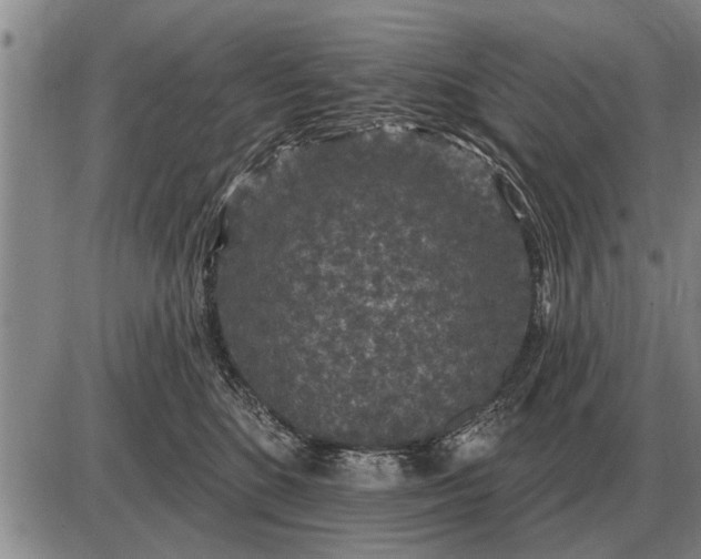 X0000085060520200703191328