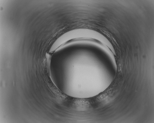 X0000085060521200703191328