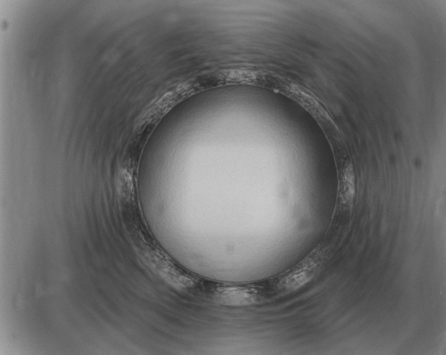 X0000085060522200703191328