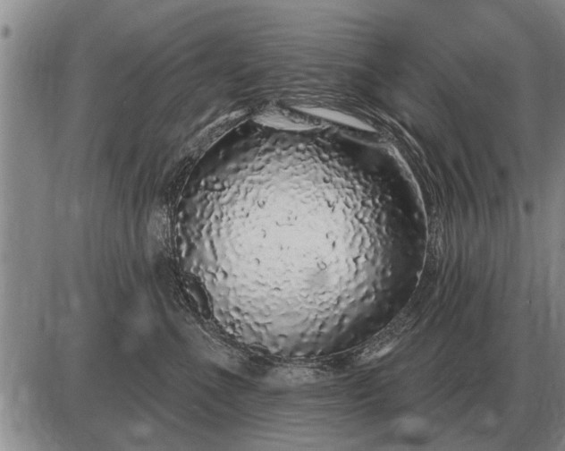 X0000085060523200703191328