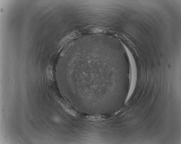 X0000085060524200703191328