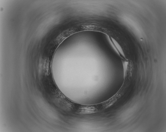 X0000085060525200703191328