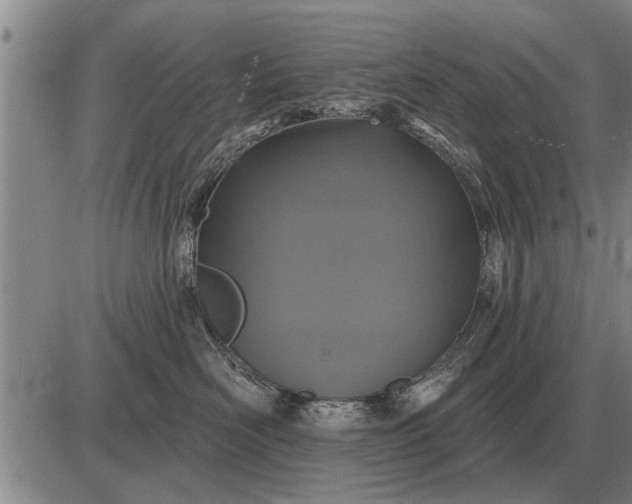 X0000085060526200703191328