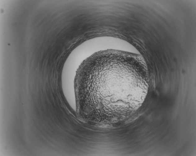 X0000085060527200703191328