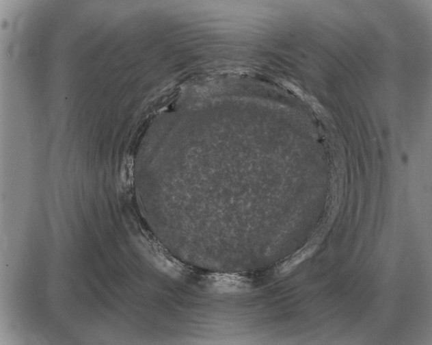 X0000085060528200703191328