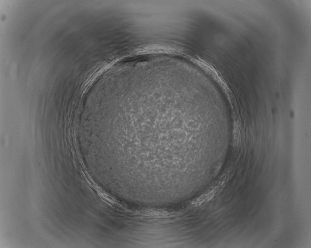 X0000085060529200703191327