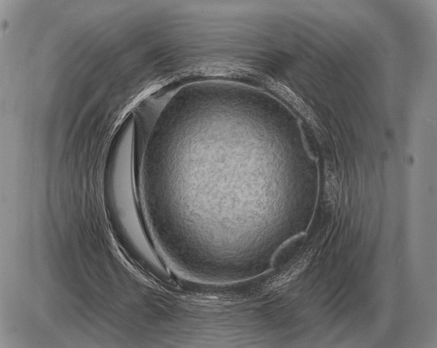 X0000085060530200703191327