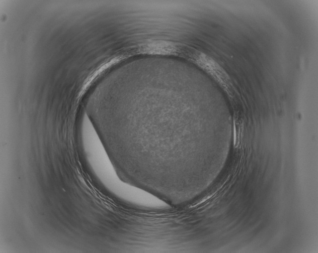 X0000085060531200703191327