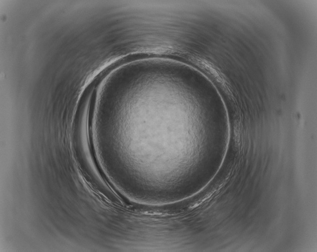 X0000085060532200703191327