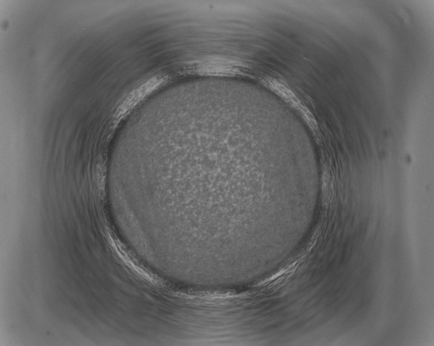 X0000085060533200703191327