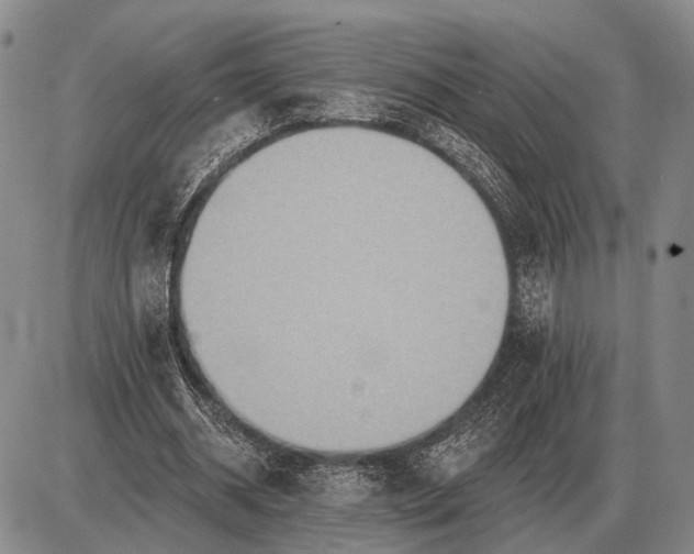 X0000085060534200703191327